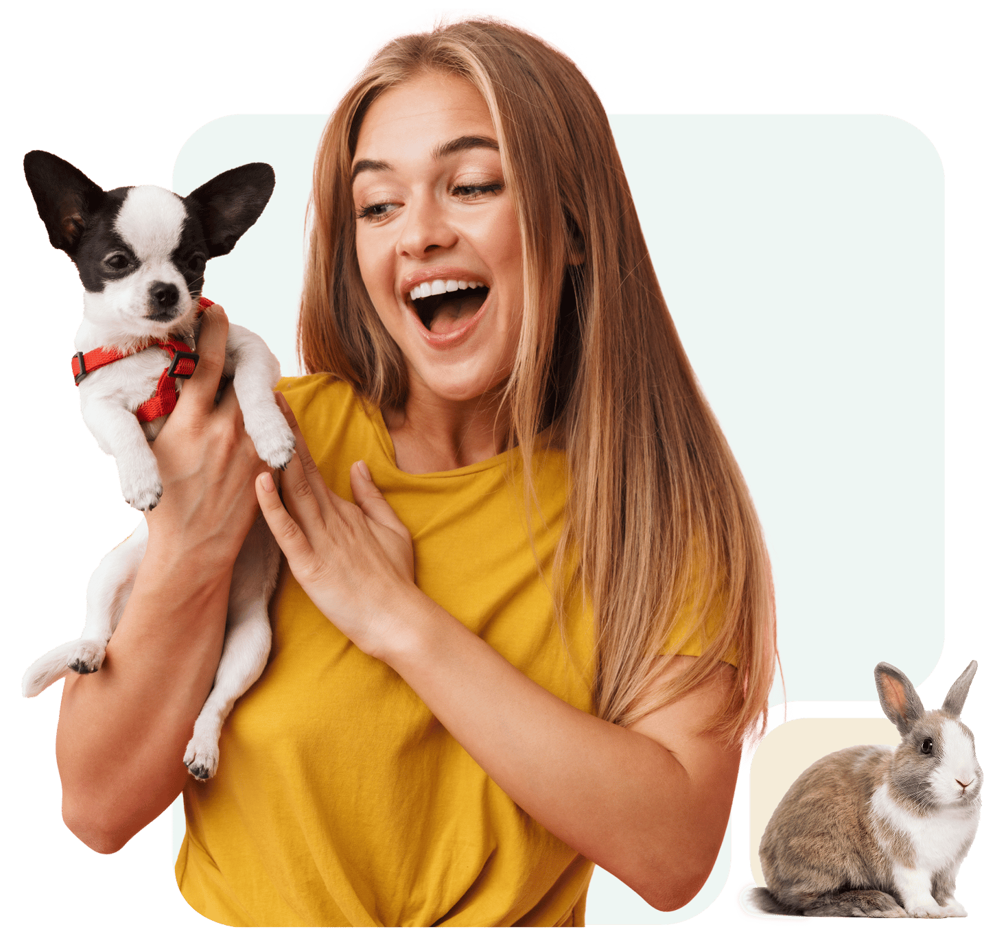 Woman happily holding a small dog with a rabbit nearby